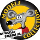 Wesley Sucasas Junior