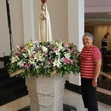 nomanhacy@hotmail.com