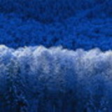 daiane vanessa fardin