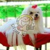 Nycoly Emmanuelle Melo Matos