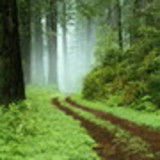 ana Paula m Kabayashi