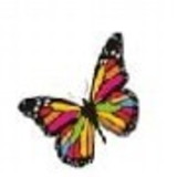 Claudia Querin Sichetti