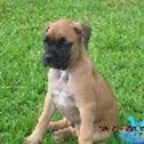 Luciana Migueis Silva