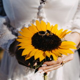 Claudia Will de Ávila