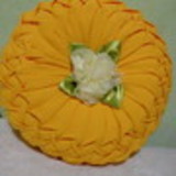 Jaqueline Cristine Penha dos Santos