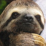 Mariana de Brito Taricio