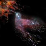 Samara Gabriela Gazzo