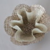 Arte em Flores Ateliê