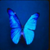 Ana Mercedes Ribeiro Padilha