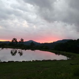 Maria Regina Abreu Lima da Rosa