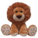 SOLANGE GONÇALVES DIAS LIMA