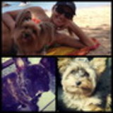 Marcela Marques Moreira