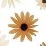 Elizana Nunes dos Santos