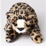 Evelise de Oliveira Silveira