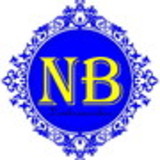 Nathalia Rafaela Ferreira Andrade Lopes