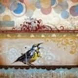 Priscila de Lião Andrade