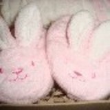 Hanna Letícia Soares Bahia