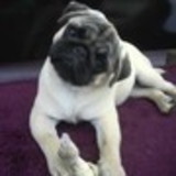 Lilian Grace Demberi Maluf