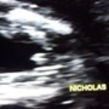 Loraine Zanin de Almeida