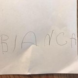 Bianca Zavattaro Bastos