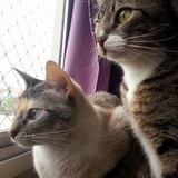 Carminha Soares Sampa