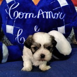 JOYCE DE SOUZA APPARICIO