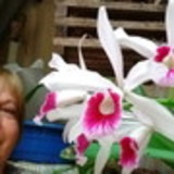 Maria De Lourdes Fernandes