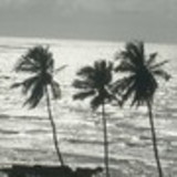 adelis maria vitali spilere