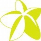 Carambolas Moda e Arte