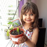 IRENE CARESTIATO DA SILVA