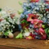 Ana Alice Oliveira Vieira