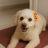 Vania Marques de Souza Pedreira