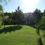 Cássia Servelin Zanette Rosa