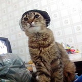 palomamezalira@uol.com.br