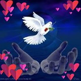 Renilda Ferreira França Neves