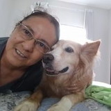 Rosana Ono - Amigurumis