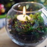 Luiz Fernandes de Souza Filho