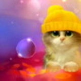 excluido_TUDO ARTESANAL PET