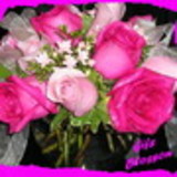 isis luana tavares leonidas