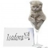 Isadora de Aguiar Klein