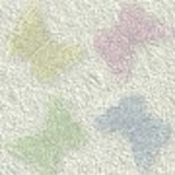 Cristiane Facchin Miguel