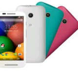 Iara Soares Moreira Pavan