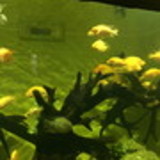 Silvia X Robson Santiago