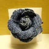 Thais Azevedo Cuocolo