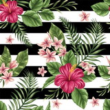 Ane Caroline Vieira Silva