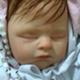 Artes da Li (Reborn)