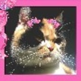 Karina Keller Segobia Calegaris