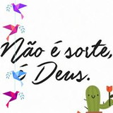 Maria Auxiliadora Gomes Ribeiro