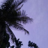 jacira salomao lima dos santos