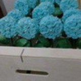 Show de Banho Arte em saboaria